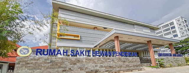 Anabul Aman, Liburan Nyaman: Mengintip Layanan Rumah Sakit Hewan Pendidikan Universitas Airlangga