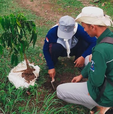 Sambut Tahun Baru, Pecinta Alam Indonesia Tanam Pohon Baru Serentak di Jatim