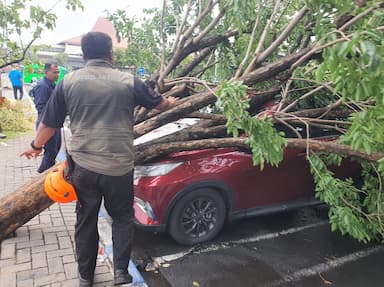 Angin Puting Beliung Terjang T1 Juanda, Puluhan Motor Tertimpa Pohon Tumbang