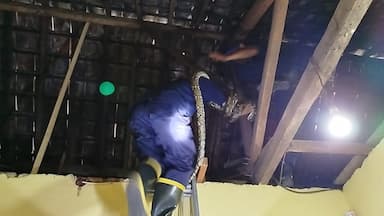Ular Tiga Meter Masuk Rumah Warga, Damkar Banyuwangi Lakukan Evakuasi