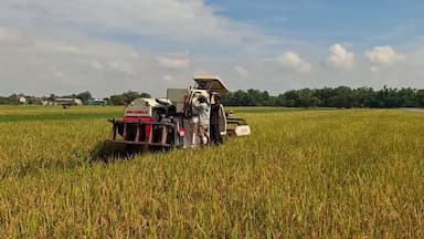 Stok Beras Bulog Kediri Melimpah di Awal Tahun 2026, Aman Hingga 2027