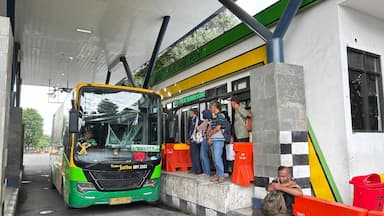 Antara Nyawa dan Target Waktu: Menakar 'Ngebutnya' Bus Trans Jatim di Mata Penumpang