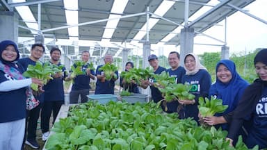 Rektor ITS Panen Sawi dan Kangkung di Kebun Smart Agrivoltaic