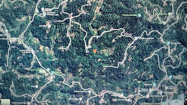 Gempa Sesar Grindulu 5,5 Guncang Pacitan, Berpusat di Wonosidi Tulakan