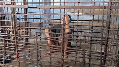 Dikurung Belasan Tahun, Dua ODGJ di Sendang–Jambon Ponorogo Akhirnya Direhabilitasi