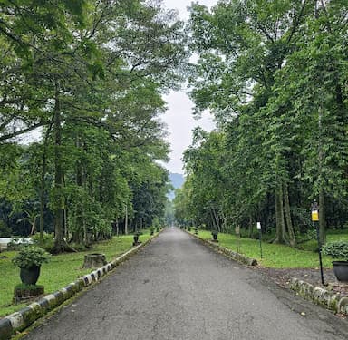 Liburan Sejuk di Kebun Raya Purwodadi: Destinasi Edukatif Pasuruan dengan Fasilitas Lengkap