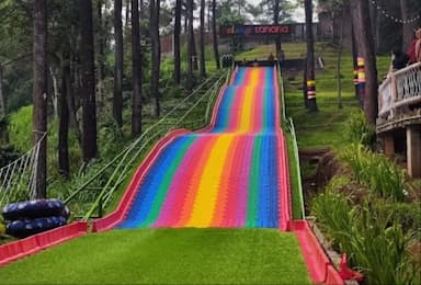 Tanaria Park Prigen, Wisata Hutan Pinus Instagramable yang Ramah Anak di Pasuruan