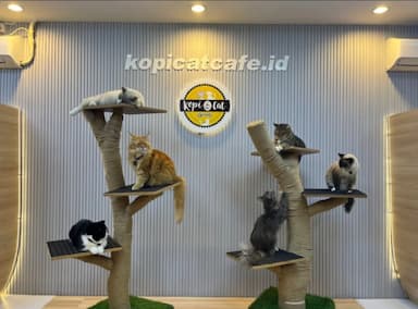Kopi Cat by Groovy: 'Hidden Gem' di Surabaya Bagi Pecinta Kucing, Tawarkan Menu Unik 3D Cat Coffee