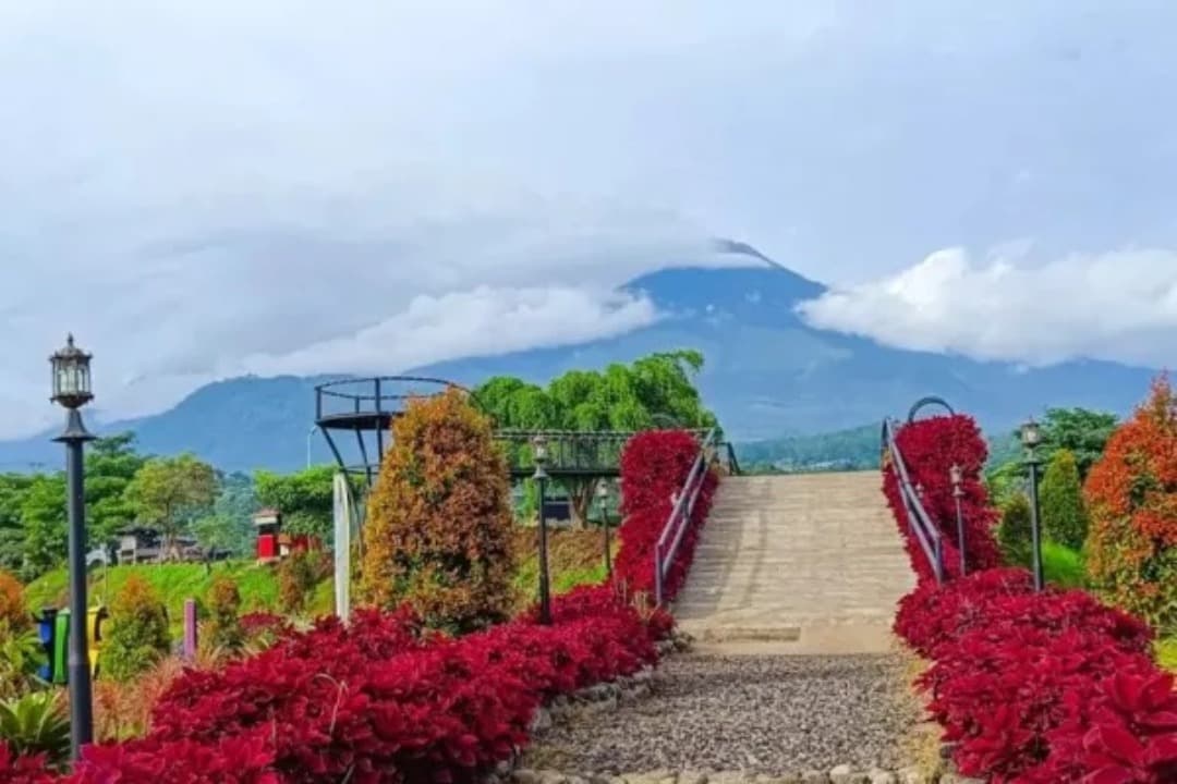 Pesona Rainbow Garden Poetoek Soeko, Oase Warna di Sejuknya Trawas