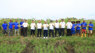 Dukung Ketahanan Pangan Nasional, SAE Paswangi Lapas Banyuwangi Hasilkan Jagung Berkualitas