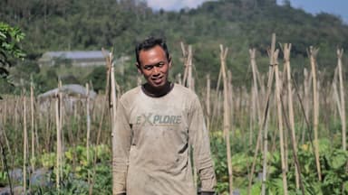 Desa BRILiaN Sumowono Tumbuh sebagai Sentra Sayur Bersama BRI