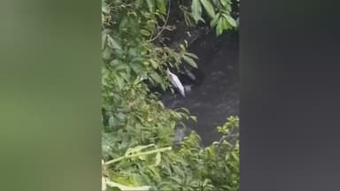 Bondowoso Motor Terjun Sungai