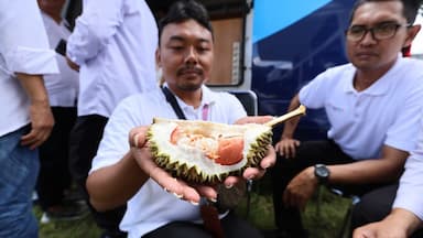 Cara Desa Songgon Banyuwangi Angkat Potensi Lokal lewat Festival Durian