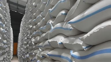 Stok Beras BULOG Kediri Tembus 82.830 Ton, Aman hingga 14 Bulan ke Depan
