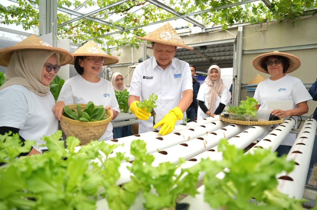Program BRInita Dorong Perempuan Berdaya, KWT Buaran Citra Lestari Olah Lahan Sempit Jadi Produktif
