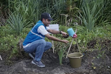 Peringati Hari Bumi 2026, PLN NP UP Pacitan Tanam 400 Bibit Cemara dan Pandan Laut di Pantai Pancer Dorr