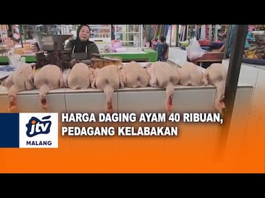 Garga Daging Ayam Rp 40 ribuan Pedagang Kelabakan