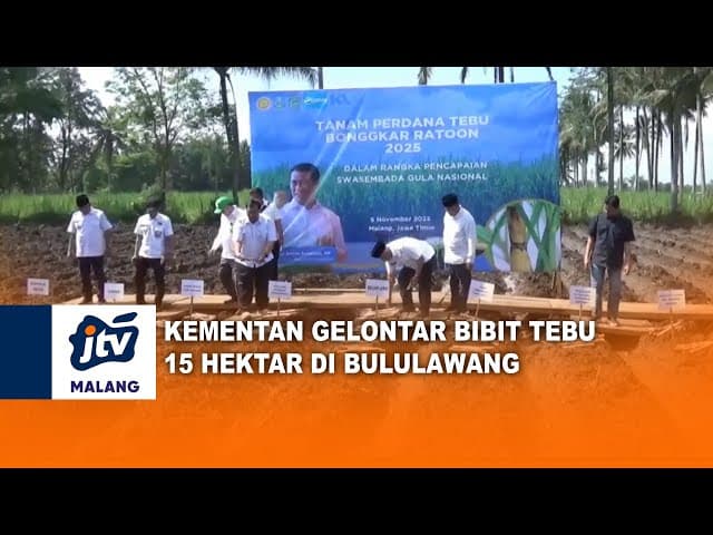 Kementerian Pertanian Glontor Bibit Tebu 15 Hektar di Bululawang