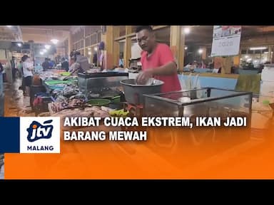 Cuaca Ekstrem Harga Ikan Laut Melambung Tinggi