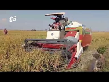 Dinas Ketahanan Pangan dan Pertanian Bojonegoro Targetkan Setiap Kecamatan Miliki Petani Milenial