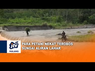 Petani Lumajang Nekat Terobos Sungai Aliran Lahar