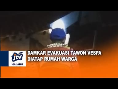 Damkar Evakuasi Tawon Vespa Atap Rumah Warga