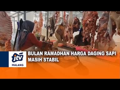 Bulan Ramadhan Harga Daging Sapi Masih Stabil