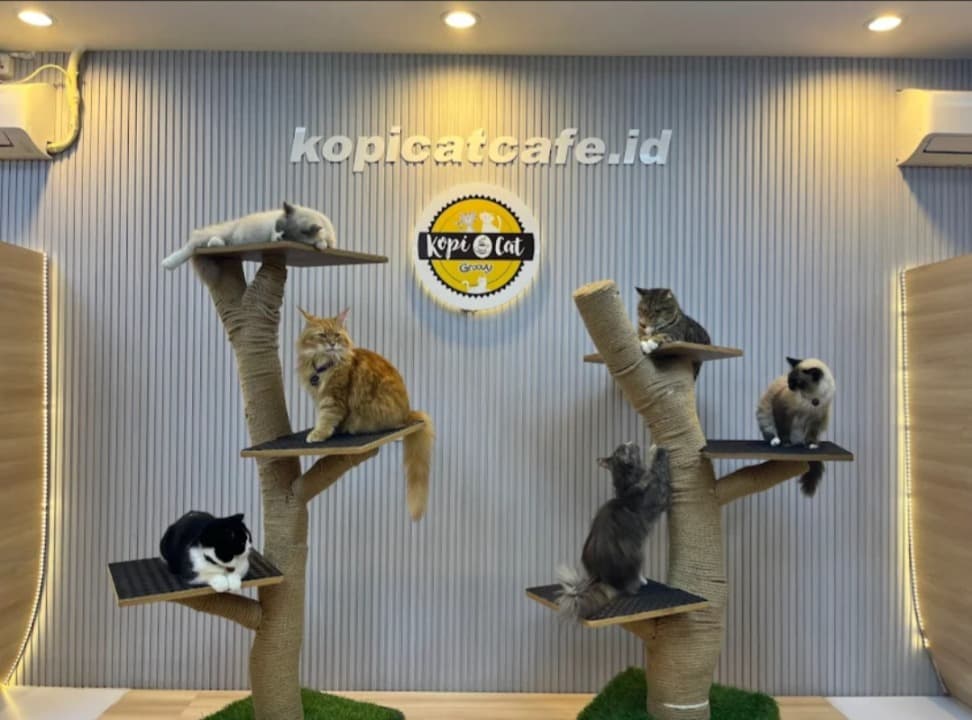 Kopi Cat by Groovy: 'Hidden Gem' di Surabaya Bagi Pecinta Kucing, Tawarkan Menu Unik 3D Cat Coffee