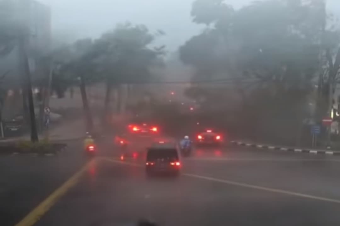 Hujan Badai Terjang Surabaya: Pohon Tumbang di Sejumlah Titik, Warganet Soroti Antisipasi Pemkot